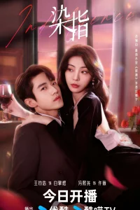 Постер сериала Последняя индульгенция